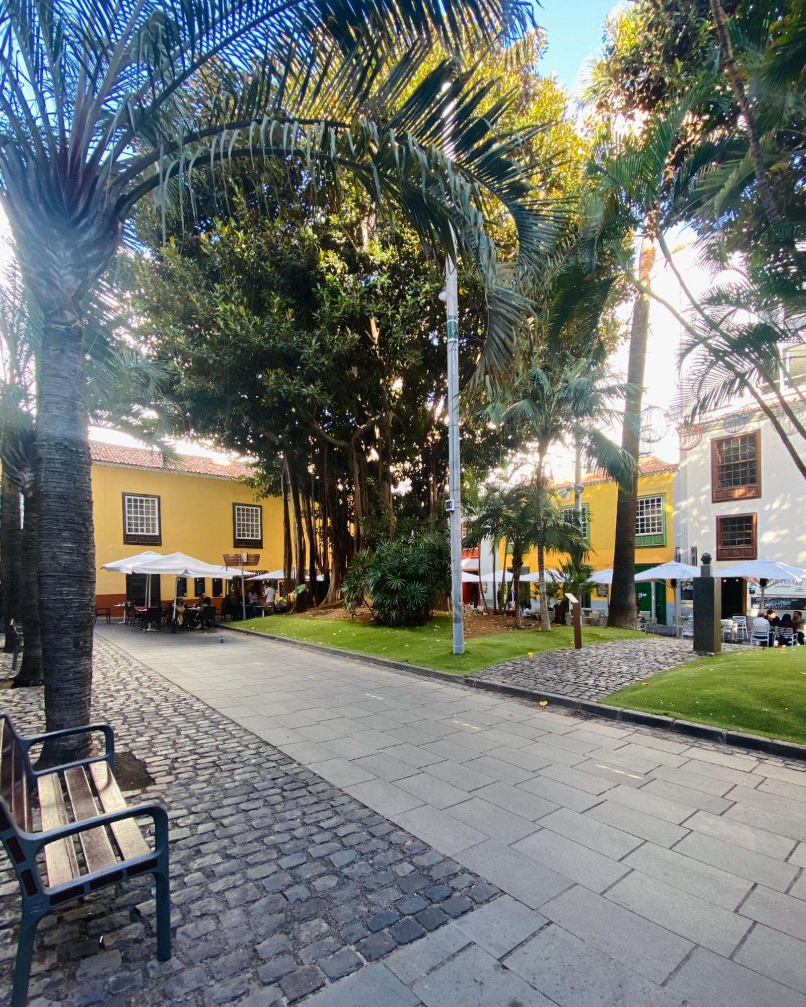 Macaronesia Home Santa Cruz de Tenerife Esterno foto